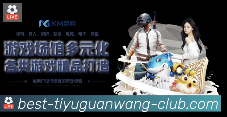 未来规划